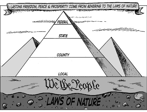 federalism cartoon for kids